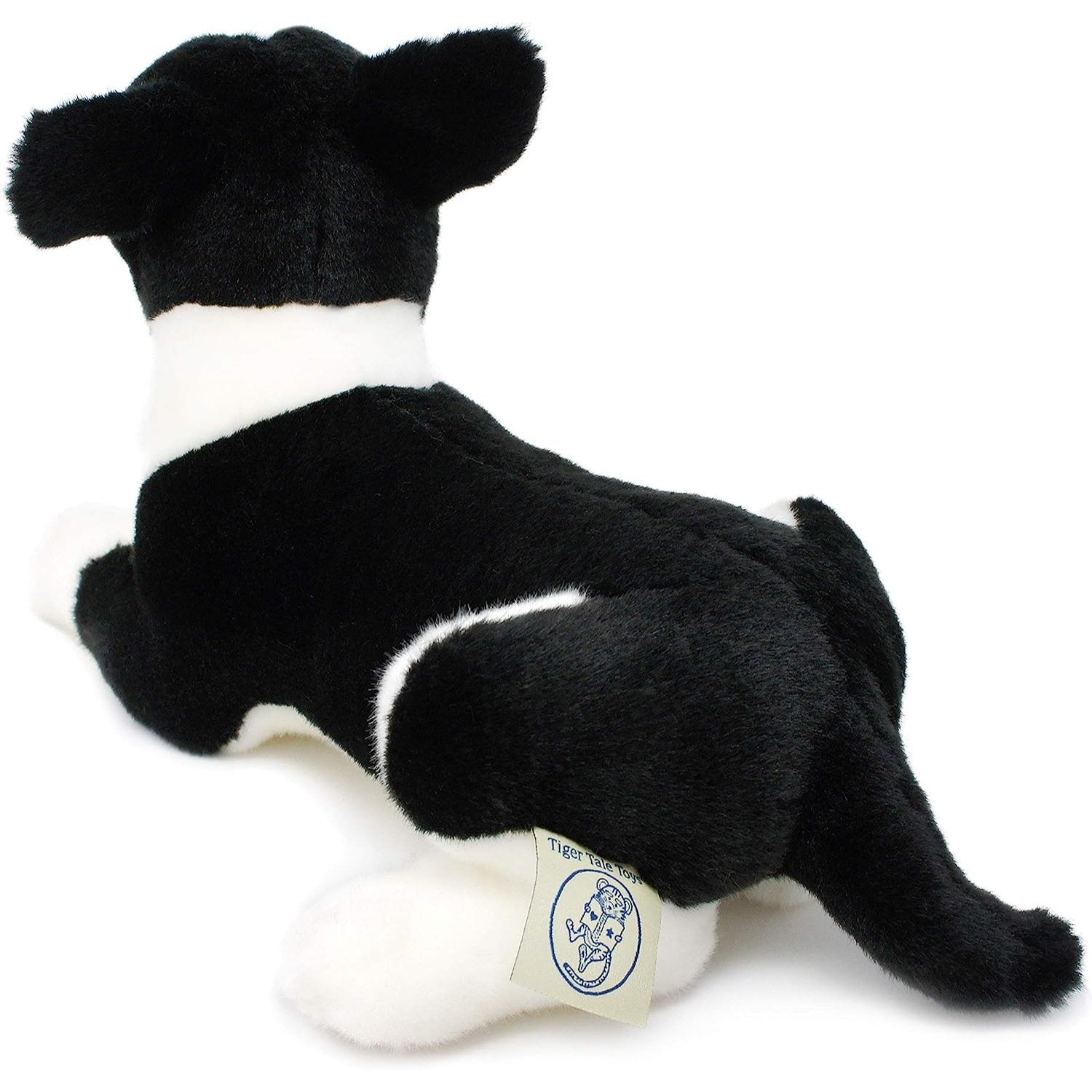 Baxter the Boston Terrier - Neo Essentials Store