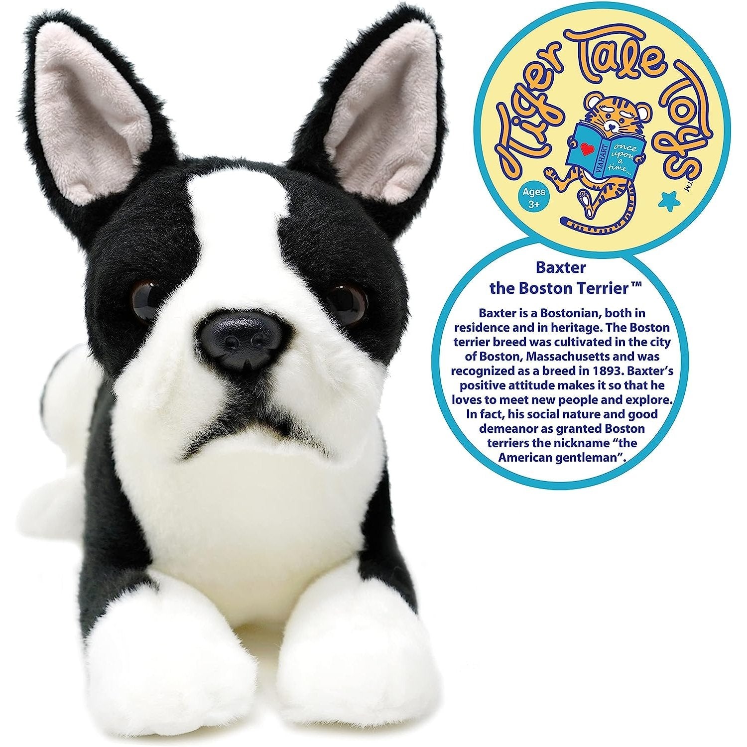 Baxter the Boston Terrier - Neo Essentials Store