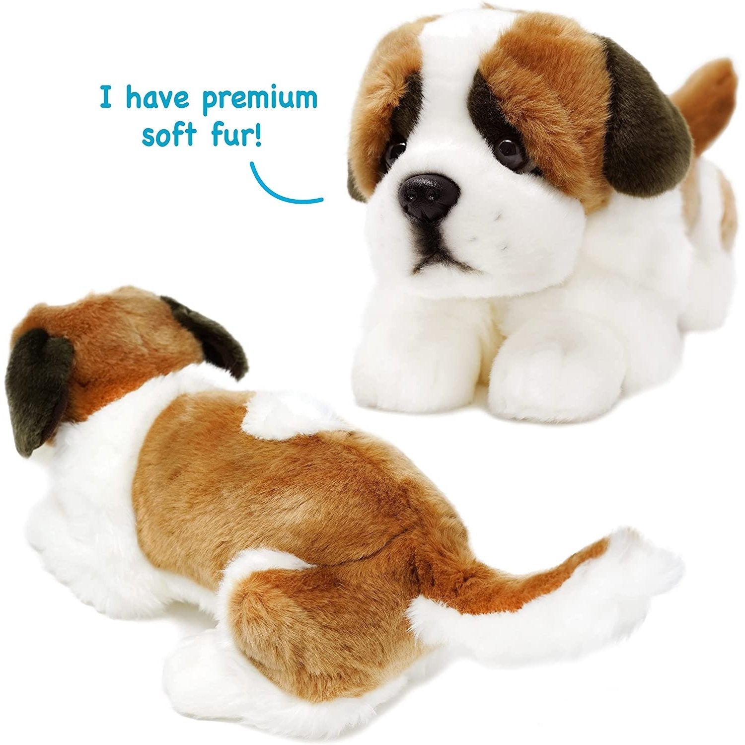 Bernadette the Saint Bernard - Neo Essentials Store