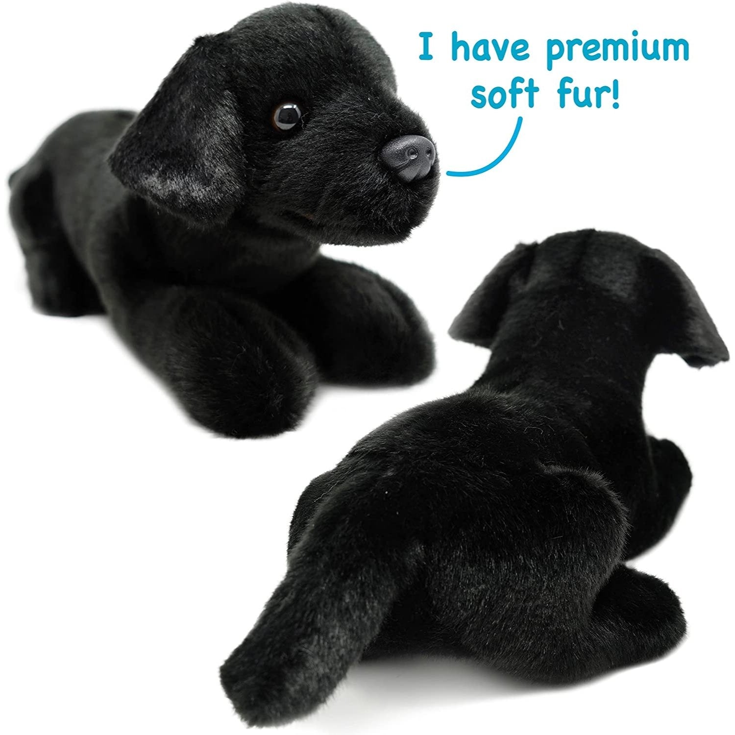 Blythe the Black Lab - Neo Essentials Store