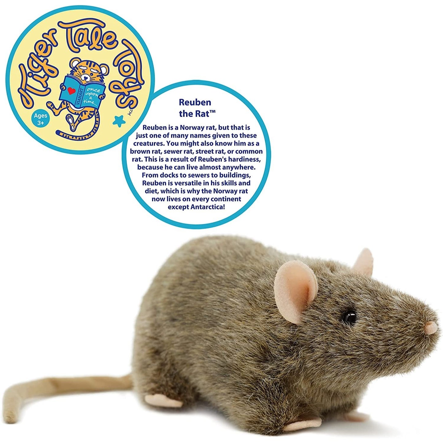 Reuben the Rat - Neo Essentials Store