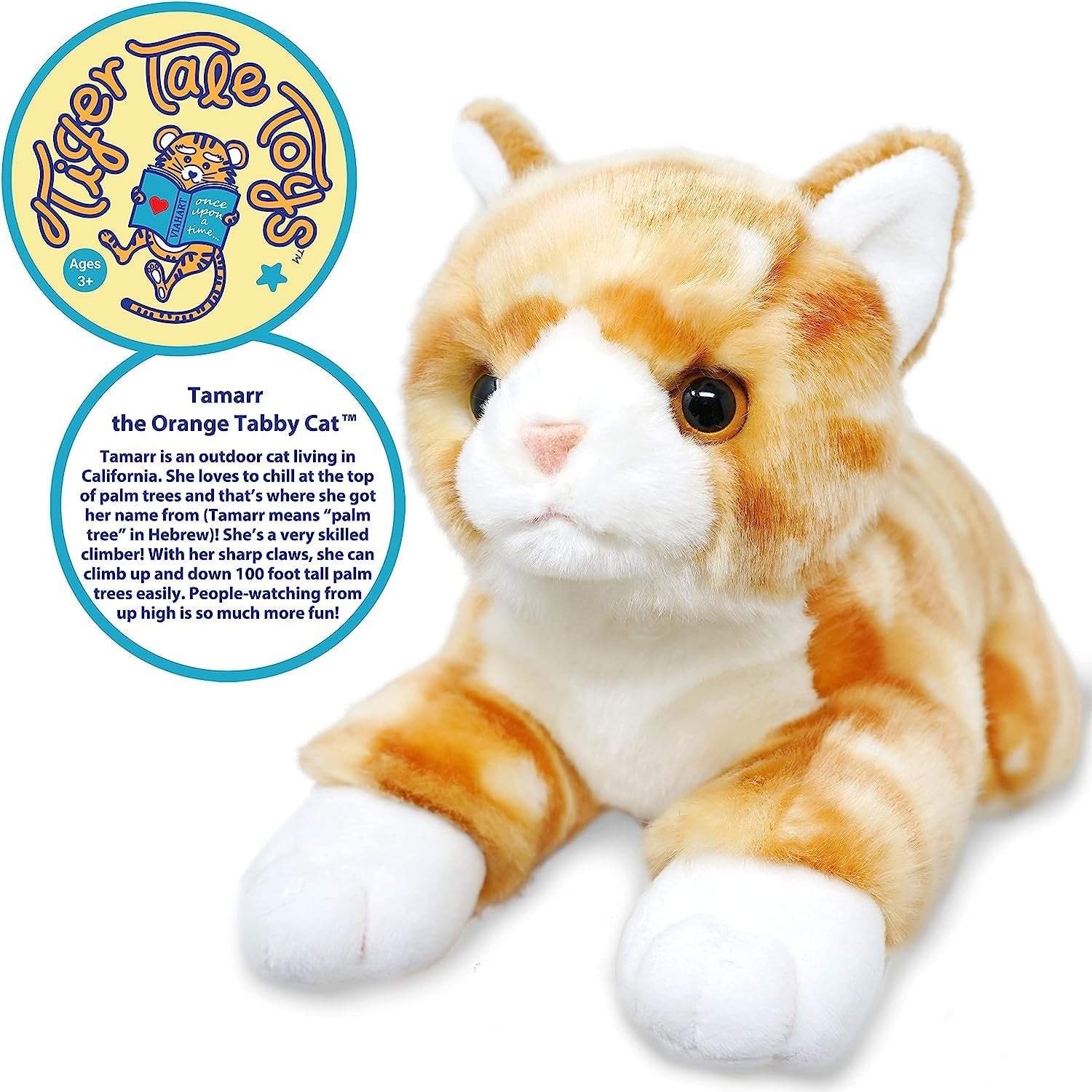 Tamarr the Orange Tabby Cat - Neo Essentials Store