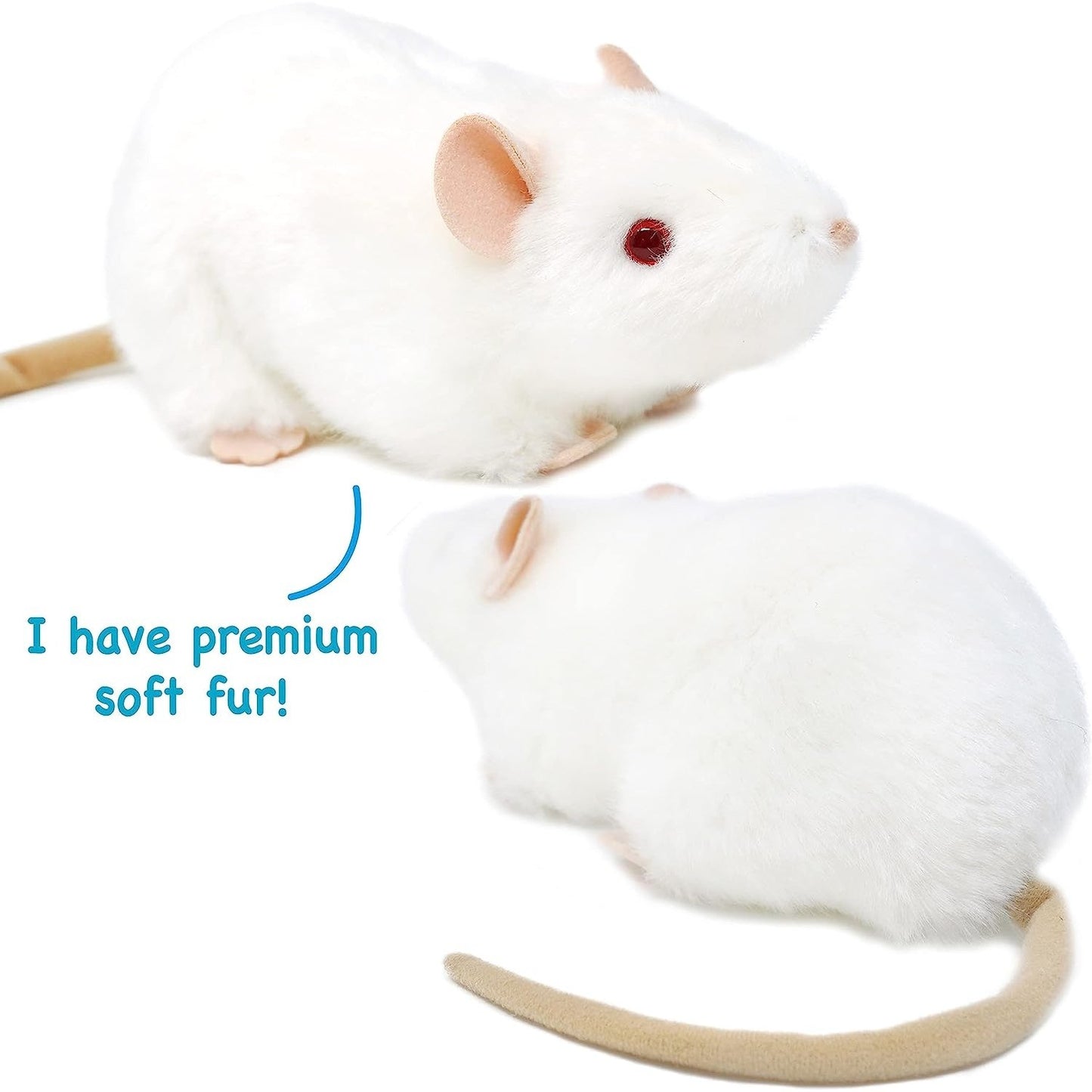 Wylie the White Rat - Neo Essentials Store