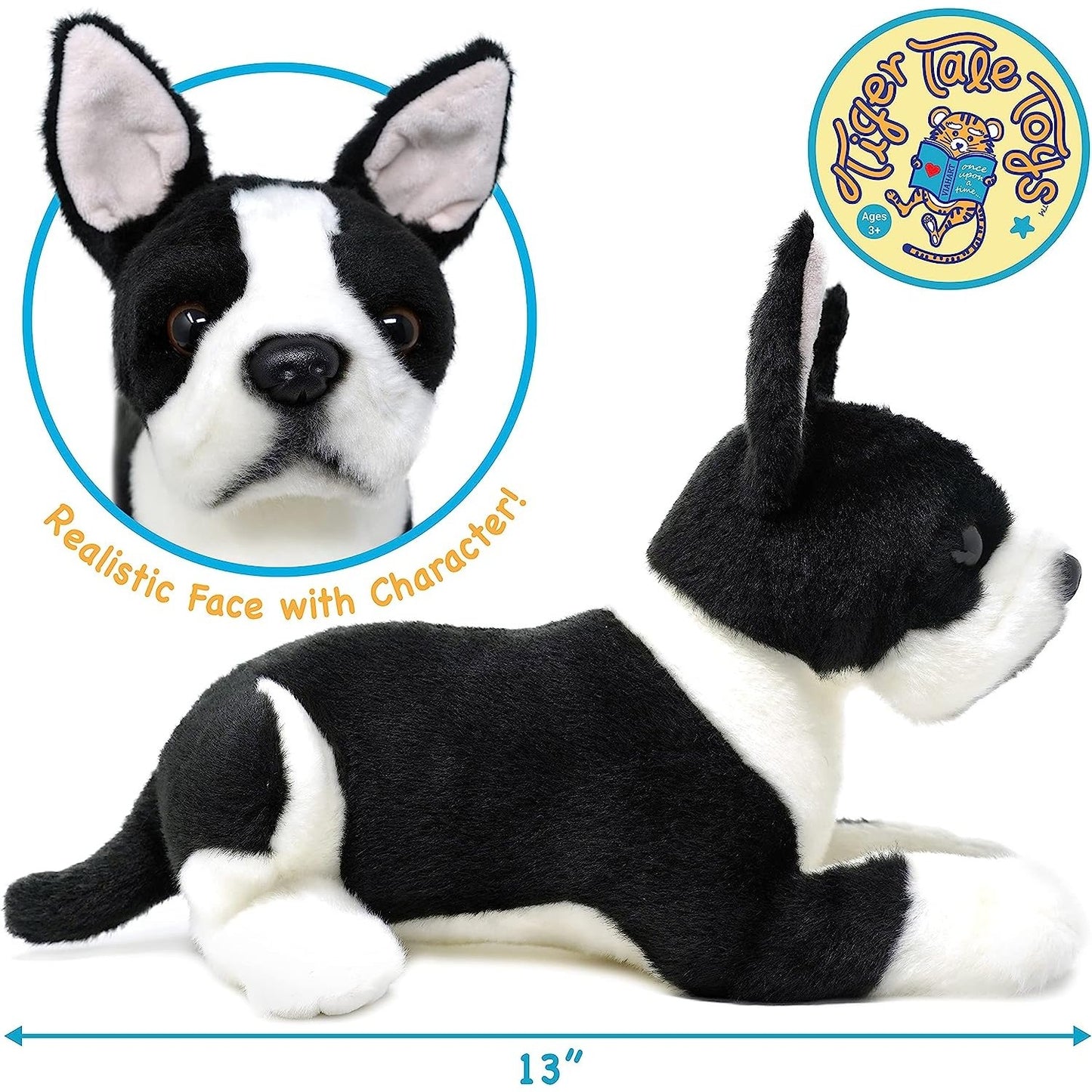 Baxter the Boston Terrier - Neo Essentials Store