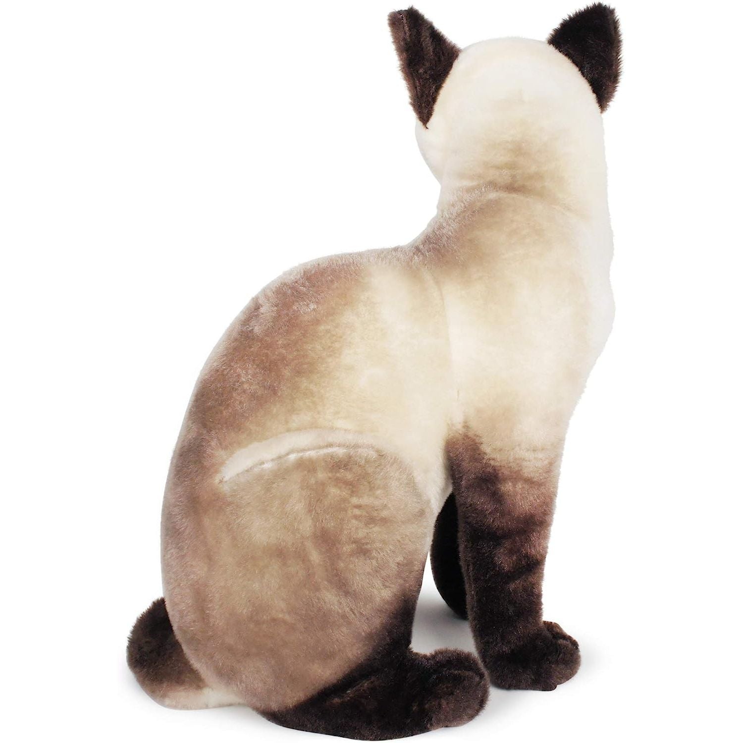 Stefan The Siamese Cat - Neo Essentials Store