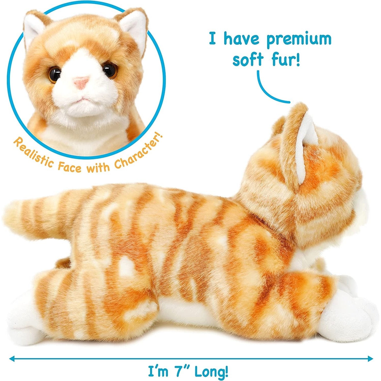 Tamarr the Orange Tabby Cat - Neo Essentials Store