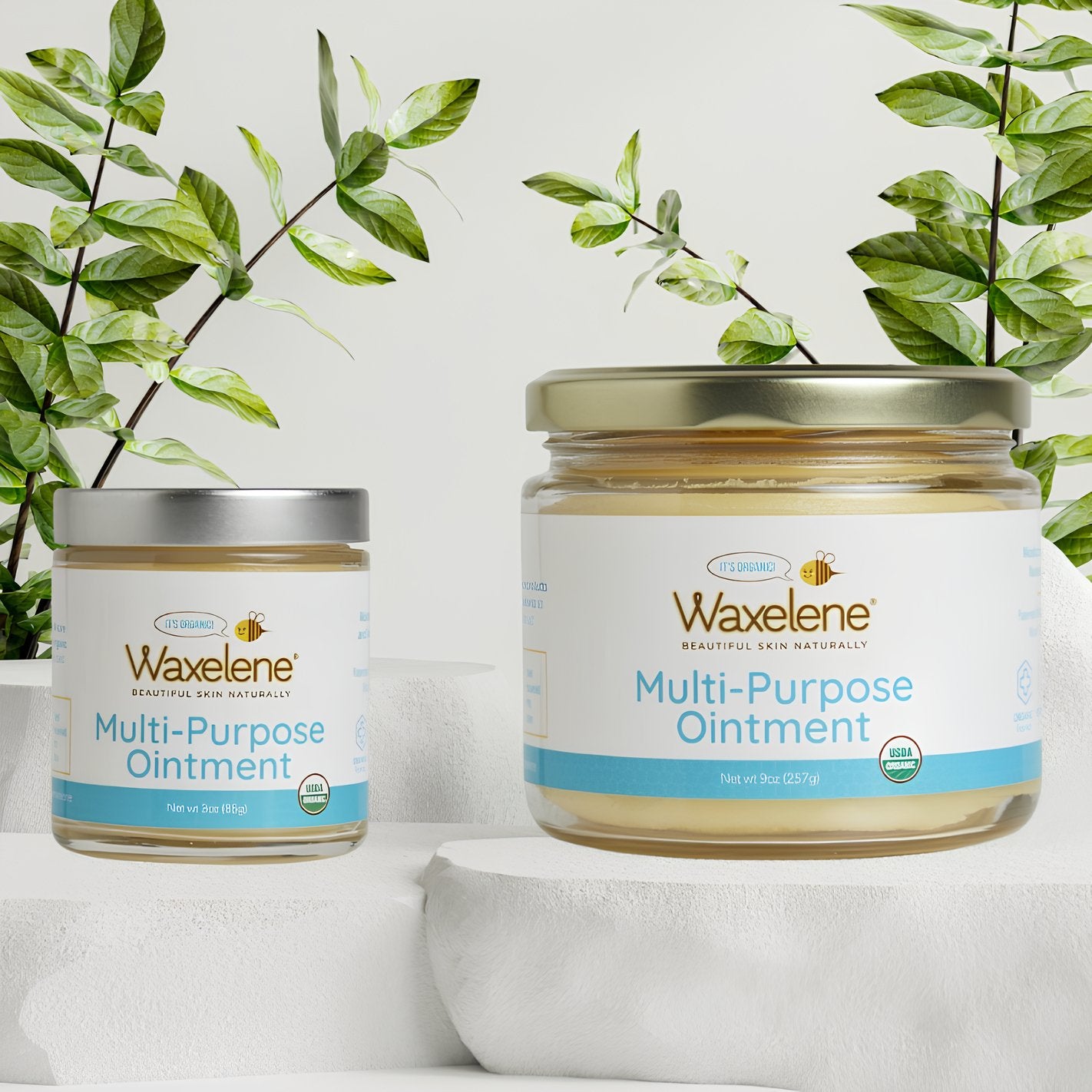 Waxelene Multi-Purpose Ointment Organic Travel Jar 1
